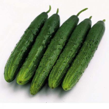 قیمت خیار سبز خیارشوری در بازار